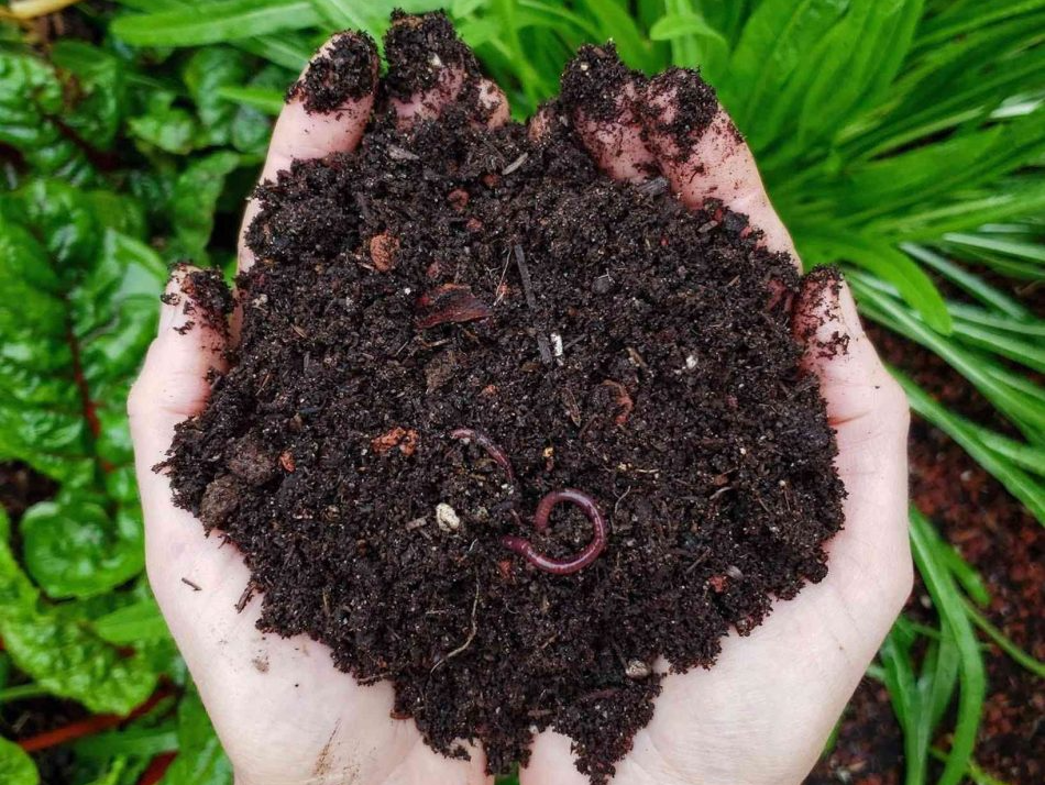 Rich growing soil held in two hands, from the Golden Valley Hydroponics website